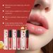 Brightening Color Lip Glaze Easy Coloring Moisturizing Multi color lipstick_voghion.com