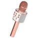 5CORE Bluetooth Wireless Karaoke Microphone All-in-One Portable Handheld Mic With Speaker Recorder Microfono Inalambrico WM SPK Copper_voghion.com