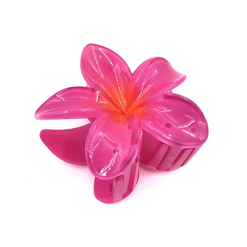 Egg Flower Grab Clip Gradient Flower candy bauhinia spate Hair Shark Clip accesorii pentru par_voghion.com