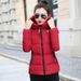 Pufferjacke für den Winter in Übergröße – Koreanisch inspirierter, schmal geschnittener, kurzer Steppmantel mit 3D-Struktur (Weiß/Rosa/Rot/Grau/Grün/Schwarz)_voghion.com