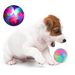 Guangying Pet Elastic Toy Ball Good Toughness Glowing Bite Resistant Flashing Bounce Pet Companion Teeth Cleaning Cat Elastic Ball For Dogs_voghion.com