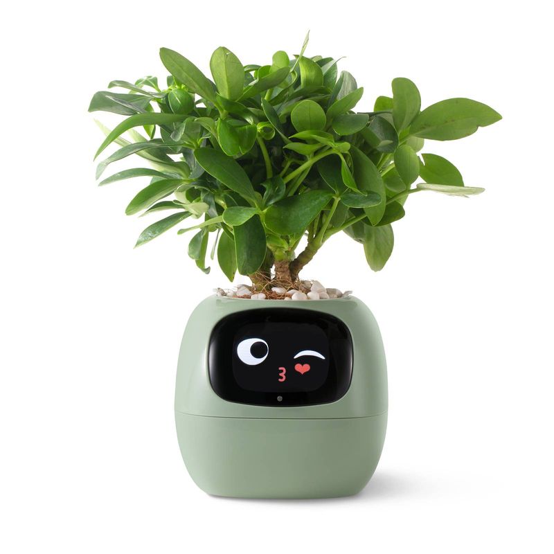 Smart Pet Planter Robot Guidance On Plant Care With Emojis, Adorable Plant Companion With Rich Gesture Interaction, Neat Desk Setup Gift (Green)_voghion.com