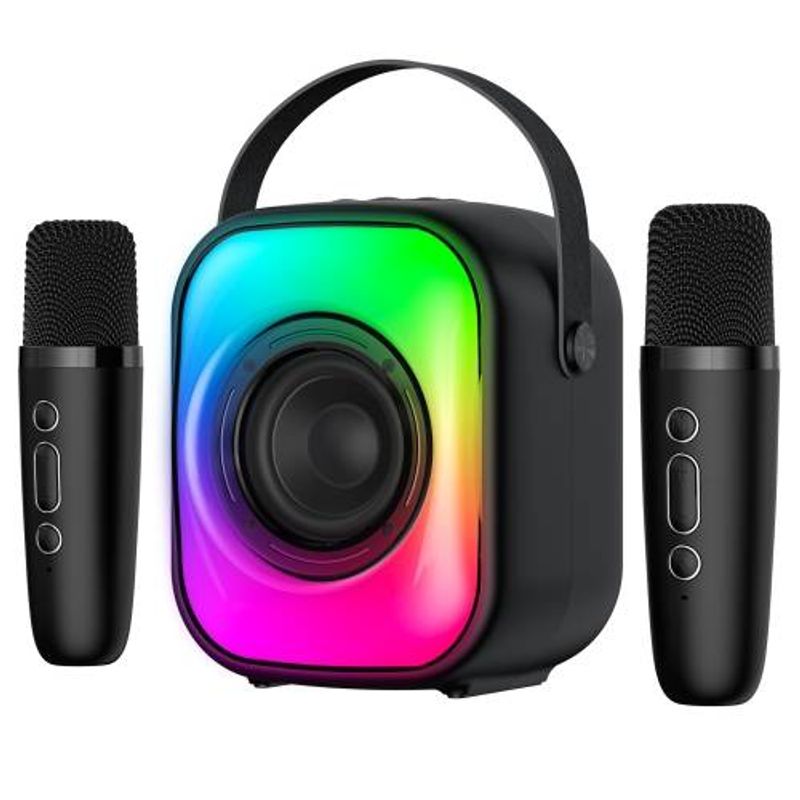 5W Karaoke Bluetooth-luidspreker met 2 microfoons (zwart)_voghion.com