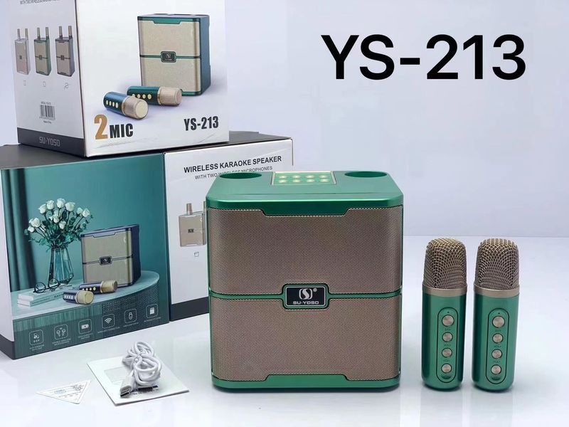 Nieuwe draagbare Bluetooth-peaker YS213 met variabel geluid en meerdere mobiele telefoonverbindingen, dubbele draadloze_voghion.com