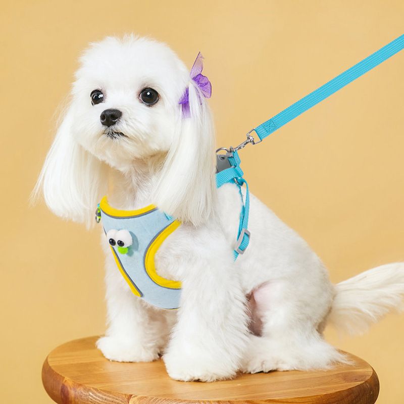 Pet Supplies Cartoon Big Eye Teddy Bichon Vest Style Small Walking Leash Puppy Chest Harness Dog_voghion.com