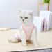 New Breathable Neutering Suit Cats, Female Cat Weaning Suit, Soft Post-Surgery Anti-Lick Thin Clothing For Kittens_voghion.com