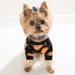 Dongguan Dalang Pet Clothing Cat Dog Halloween Pumpkin Turtleneck Knitted Sweater_voghion.com