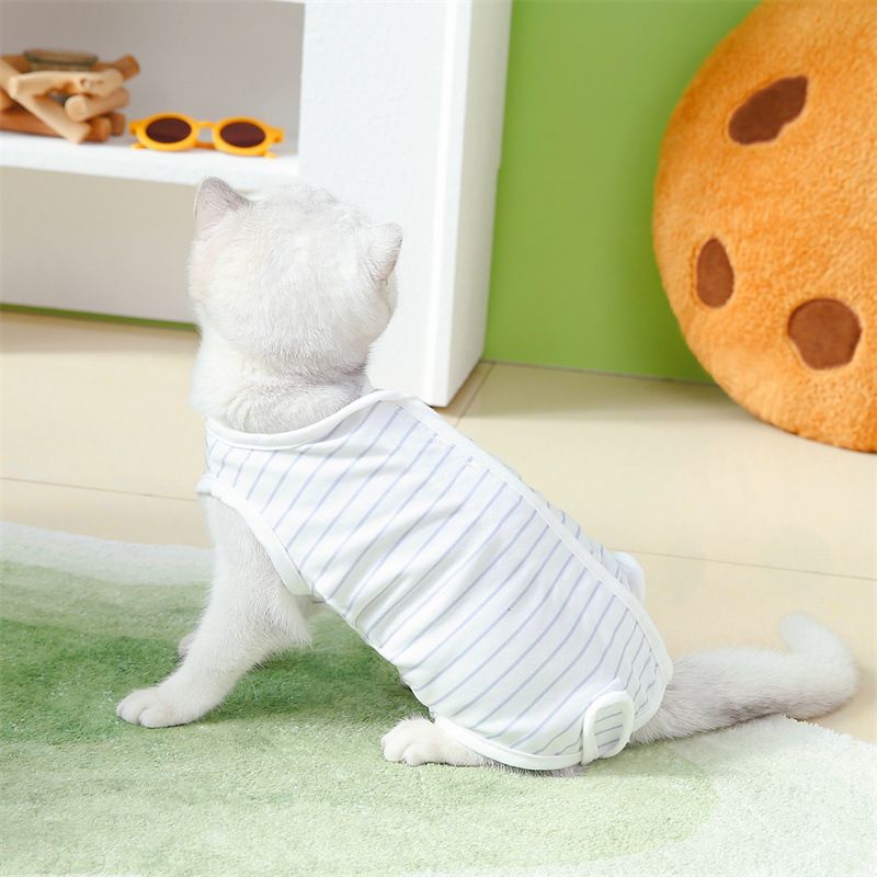 Ceinture ventrale pour chat, chaton mignon, récupération postopératoire, vêtements de stérilisation à rayures fines, poils raides, animal de compagnie_voghion.com