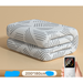 2024 New Blanket Double Control Adjustable Temperature Home Safe Electric Mattress Student Dormitory Single_voghion.com