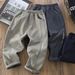 Boys' Fleece-Lined Cargo Pants - Winter Warm Thickened Trousers For Big Kids, Windproof Casual Joggers With Elastic Waist (Khaki, Iron Grey)_voghion.com