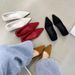 autunno e inverno nuova moda versatile scarpe singole imbottite poco profonde rete rossa punta tacco basso fine con scarpe di lana_voghion.com