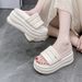Women's Summer Outdoor Trendy New High Heel Thick Sole Round Toe Platform Beach Slide Flat Slippers_voghion.com