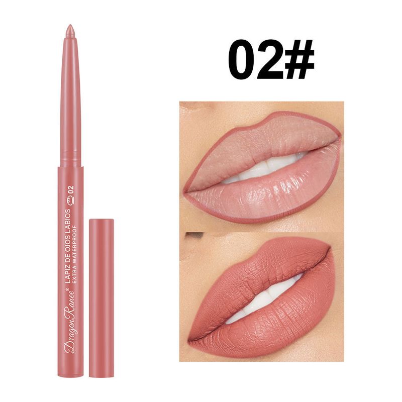 Single Rotating Matte Lip Liner & Lipstick Pen For Women - Foggy Finish, Available In Beige Brown & Pink, Adorable Design_voghion.com