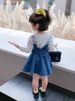 Kids Clothing wholesale girls suit autumn new style children's cute big lapel shirt plus denim overalls skirt two piece suit_voghion.com