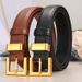 Women's Genuine Leather Ins Style Thin Pin Buckle Jeans Casual Versatile Fashion Simple Decorative Belt For Women_voghion.com