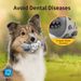 New Dog Simulating Shark Teeth Cleaning Durable Chew Toy For Dogs_voghion.com