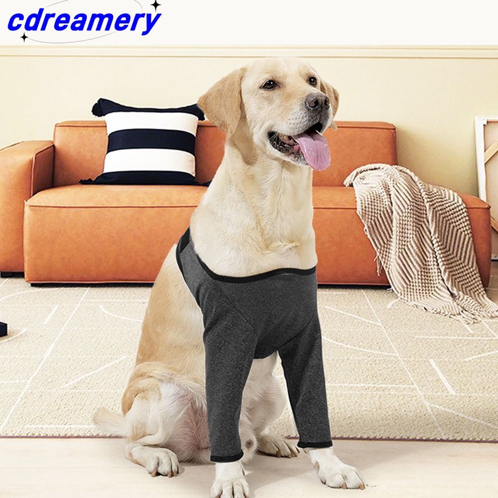 Supporto per zampe di cane regolabile, ginocchiere elastiche traspiranti per cani, antisporco, morbide, per il recupero di lesioni da lesioni, per zampe anteriori di cani_voghion.com