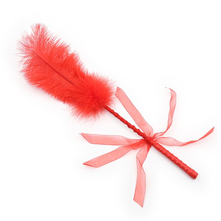 Sex Products Flirting Sticks Feather Rackets Teasing Sticks Training Alternative Female Products_voghion.com
