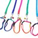 Hondenketting Kleurrijke Huisdierhalsband Puppyriem_voghion.com