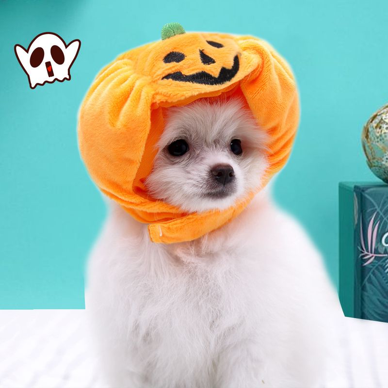 Hauskatzen, Kürbishüte, Halloween-Geisterfest-Dekorationen, Kopfbedeckungen, kleine, mittlere und große Hunde, Teddy Fadou_voghion.com