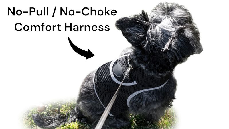 Rechargeable Pocket GPS GSM Tracking Collars for Hunting Dogs Realtime Size:L_voghion.com