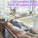 Durable Bed With Window Mount, Sun Lounger, Cat Mat, Kitten Supplies, Climbing Frame, Pet Accessories By PawParty Store_voghion.com