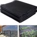 Black Insect-proof Net, Bird-proof Net, Orchard Insect-proof Net, Flake Flower Horticultural Plant Net, Fruit Trees And Vegetables Agricultural_voghion.com