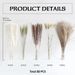 Reed Rabbit Tail Whisk Small Pampas Grass Home Decoration Mixed Dried Flower Bouquet_voghion.com