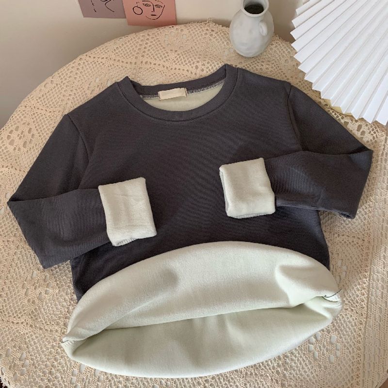 Women's Clothing autumn and winter ins new velvet thickened round neck T shirt simple outer wear long sleeve inner wear solid color bottoming top_voghion.com