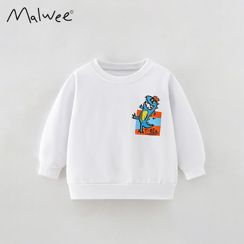 Boys' Pullover Sweatshirt Winter New Round Neck Long Sleeve Toddler Casual Autumn Children's Clothing_voghion.com
