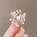 Brooch Women's High-end Sense High-end Pin Elegant Temperament Fixed Clothes Accessories_voghion.com