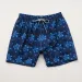 Vileberquin Short Designer Fashion Men's Boardshorts Trunks Mens Surfwear Elastic Quick-Drying Waterproof Turtle Mesh_voghion.com