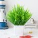 Simuleringsplanter planter grønne planter indendørs og udendørs dekoration desktop plast potte persisk græs små potteplanter_voghion.com