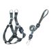 Neu Leine Set Wärme Transfer Muster Multi-Farbe Hund Brust Harness_voghion.com