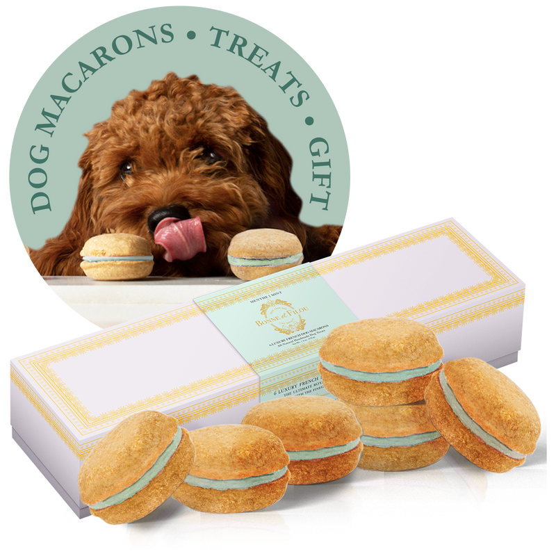 Dog Macarons - Count of 6 (Dog Treats | Dog Gifts)_voghion.com