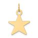 14K Star Disc Charm_voghion.com