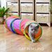 Guangying Cat Tunnel Toy T-Shaped Large Space Creative Relieve Boredom Exercise Training Holes Cat Tunnel Tube Funny Kitten Toys For Home Use_voghion.com