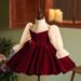 Girl's Wine Red Tulle Princess Dress - Elegant Party Gown For Special Occasions Fashion Trends Hot-selling_voghion.com