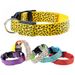 KAJIPET Leopard LED Dog Collar By PawParty Store_voghion.com