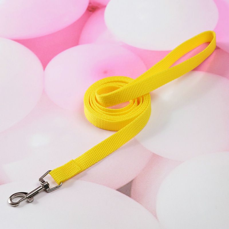New Summer Cute Simple Webbing Pet Dog And Cat Gift Leash_voghion.com