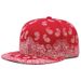 High Quality Hip Hop Vintage Men Fashion Cashew Nut Flower Label Snapback Cap for Women Outdoor Sun Visor Hat_voghion.com