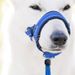 Adjustable Breathable Dog Muzzle Nylon_voghion.com
