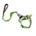 Pet Color Block Ins Style Nylon Dog Collar Leash Chest Harness Set_voghion.com