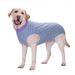 Clothes Large Golden Retriever Belly Protection Vest Pure Cotton Back Zipper Female Dog Weaning Neutering_voghion.com