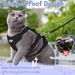 New Cat Leash Pet Kitten Solid Color Breathable Dog Harness Set_voghion.com