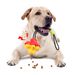 Dog Durable Chew Teething Tug-of-War Treat Dispensing Toy Boredom Reliever For Small And Medium Dogs Pets_voghion.com