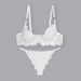 Women's Intimates Classic Embroidered Bra And Panties Two Sets Of Women's Underwear Set_voghion.com