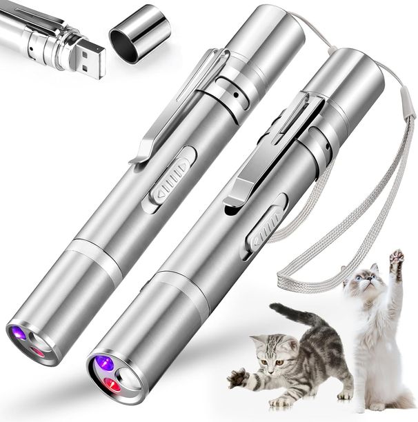 Lot de 2 jouets pointeurs pour chat, pointeur lumineux à LED rouge pour l'intérieur, jouets interactifs pour animaux de compagnie rechargeables par USB, 3 couleurs de lumière, entraînement interactif pour la chasse_voghion.com