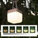 Outdoor Camping Atmosphere Picnic Table Top Tent High Brightness Portable Hanging LED Rechargeable Handheld Light_voghion.com