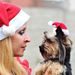 Weihnachtsmützen für Katzen und Hunde – Kuschelige Plüsch-Weihnachtsmannmütze mit langem Fellbesatz, festliches Kostümaccessoire für Kleintiere_voghion.com